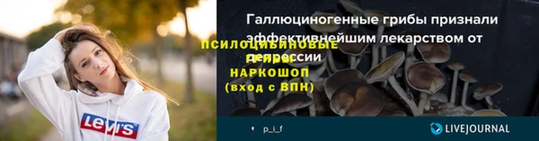 молекула духа Зеленокумск