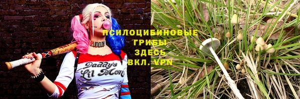 мдпв Алагир