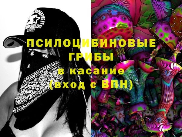 молекула духа Зеленокумск