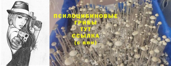 шишки Зерноград